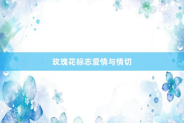 玫瑰花标志爱情与情切