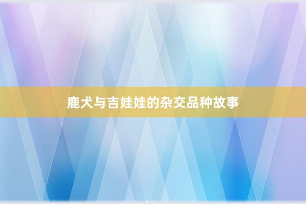 鹿犬与吉娃娃的杂交品种故事