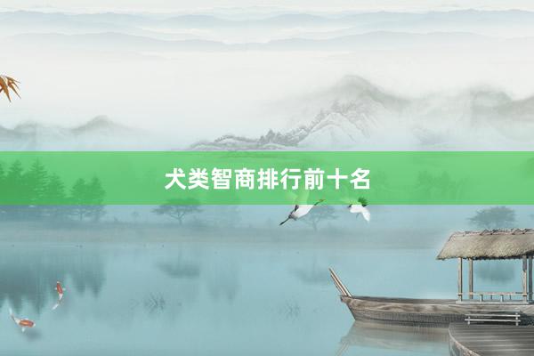 犬类智商排行前十名